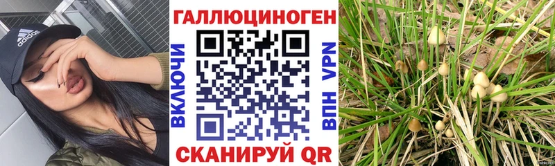 Галлюциногенные грибы ЛСД Мариинск